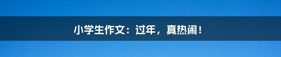 小学生作文:过年,真热闹!