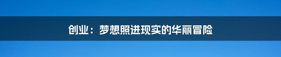 创业:梦想照进现实的华丽冒险