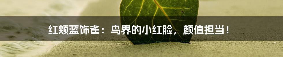 红颊蓝饰雀:鸟界的小红脸,颜值担当!