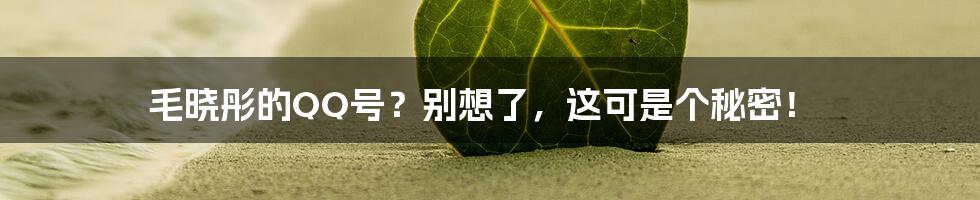 毛晓彤的QQ号?别想了,这可是个秘密!