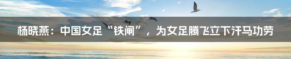 杨晓燕：中国女足“铁闸”，为女足腾飞立下汗马功劳