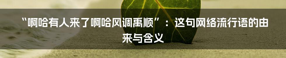 “啊哈有人来了啊哈风调禹顺”:这句网络流行语的由来与含义