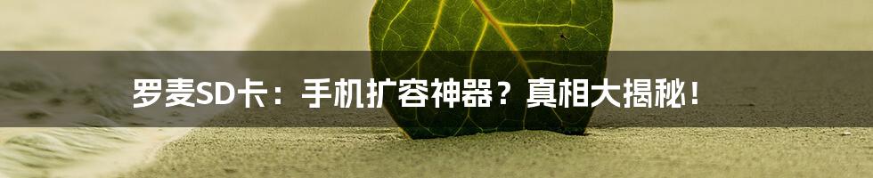 罗麦SD卡:手机扩容神器?真相大揭秘!