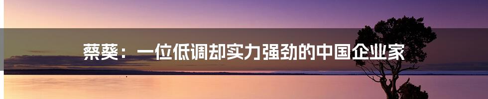 蔡葵:一位低调却实力强劲的中国企业家
