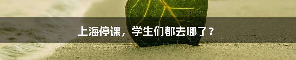 上海停课,学生们都去哪了?