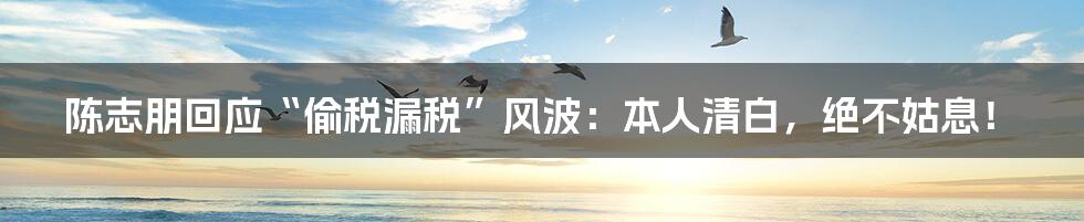 陈志朋回应“偷税漏税”风波:本人清白,绝不姑息!