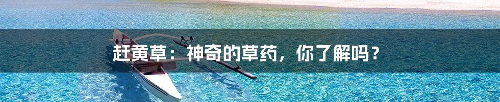赶黄草:神奇的草药,你了解吗?