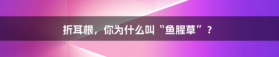 折耳根,你为什么叫“鱼腥草”?