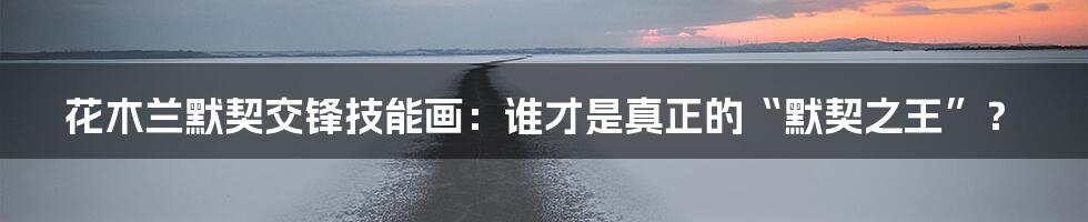 花木兰默契交锋技能画:谁才是真正的“默契之王”?