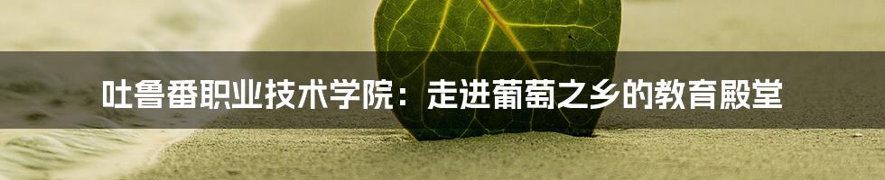 吐鲁番职业技术学院：走进葡萄之乡的教育殿堂