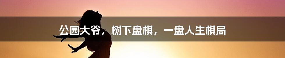 公园大爷,树下盘棋,一盘人生棋局