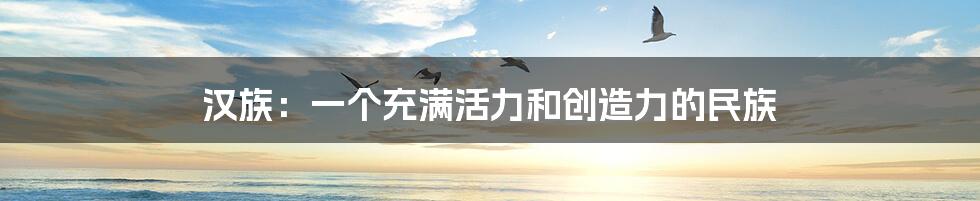 汉族:一个充满活力和创造力的民族