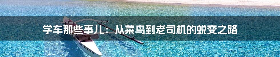 学车那些事儿：从菜鸟到老司机的蜕变之路