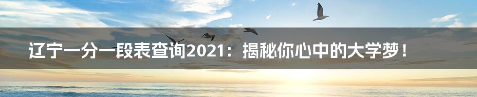 辽宁一分一段表查询2021:揭秘你心中的大学梦!