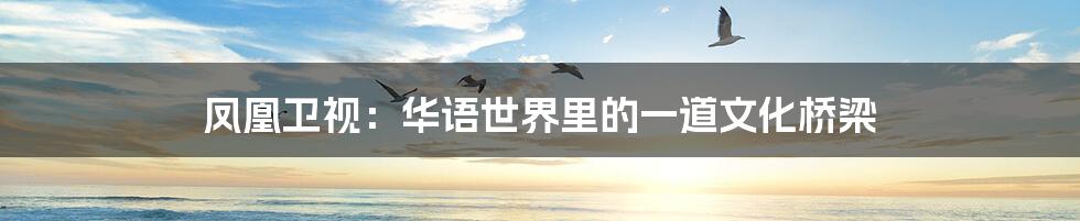凤凰卫视:华语世界里的一道文化桥梁