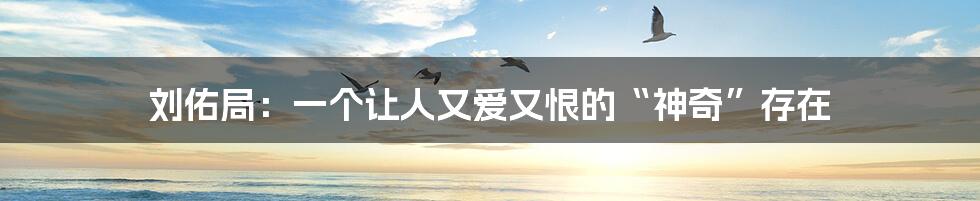 刘佑局：一个让人又爱又恨的“神奇”存在