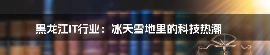 黑龙江IT行业:冰天雪地里的科技热潮