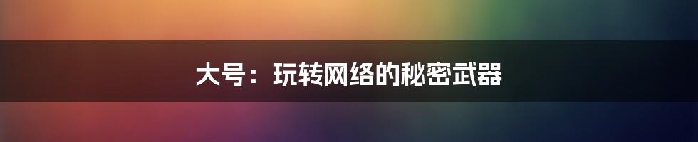 大号:玩转网络的秘密武器
