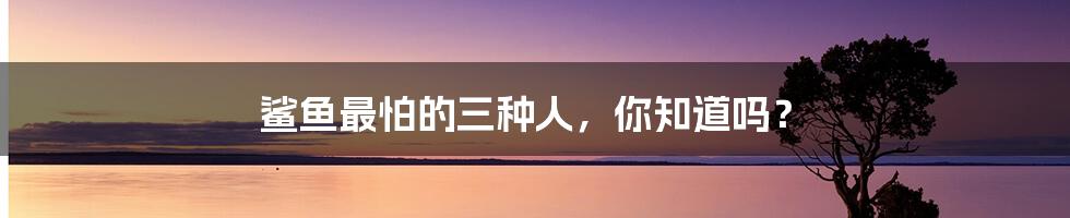 鲨鱼最怕的三种人,你知道吗?
