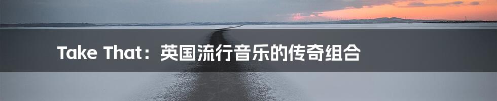 Take That:英国流行音乐的传奇组合