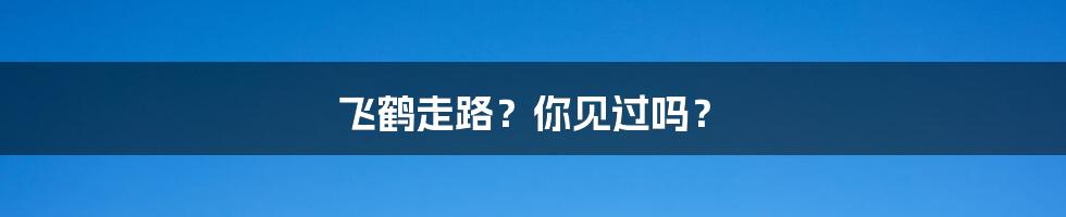 飞鹤走路?你见过吗?