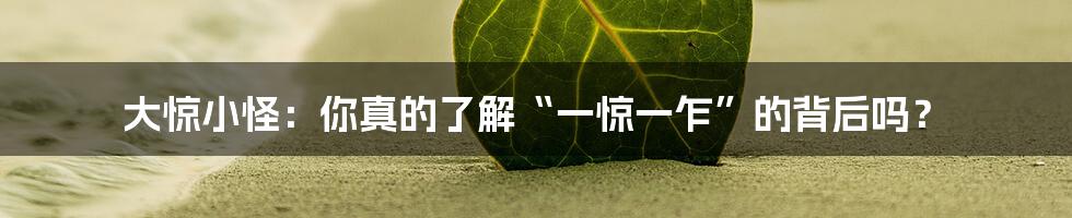 大惊小怪:你真的了解“一惊一乍”的背后吗?