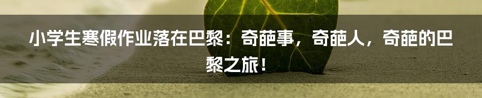 小学生寒假作业落在巴黎：奇葩事，奇葩人，奇葩的巴黎之旅！