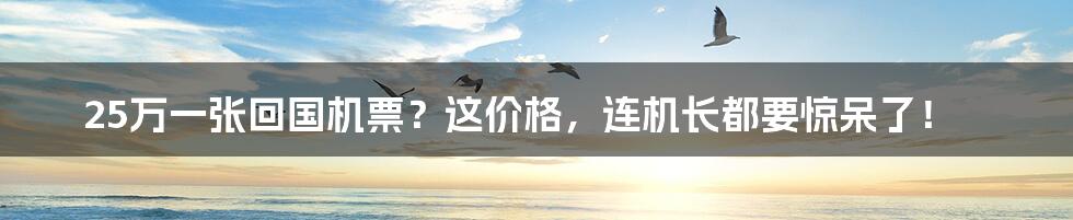 25万一张回国机票?这价格,连机长都要惊呆了!