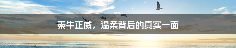 秦牛正威,温柔背后的真实一面