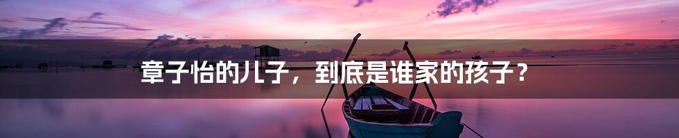章子怡的儿子,到底是谁家的孩子?