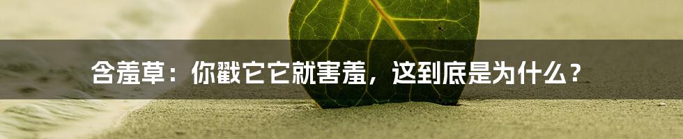 含羞草：你戳它它就害羞，这到底是为什么？
