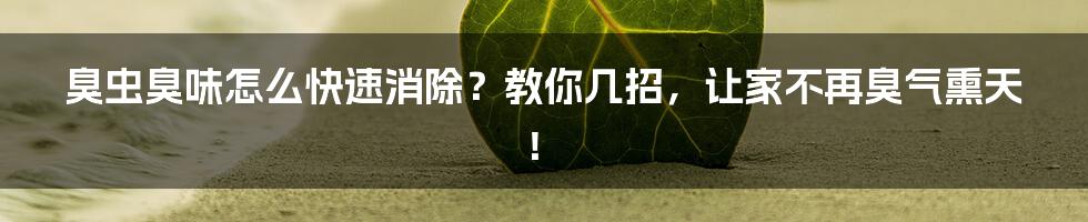 臭虫臭味怎么快速消除?教你几招,让家不再臭气熏天!