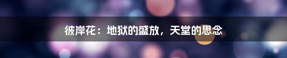 彼岸花:地狱的盛放,天堂的思念