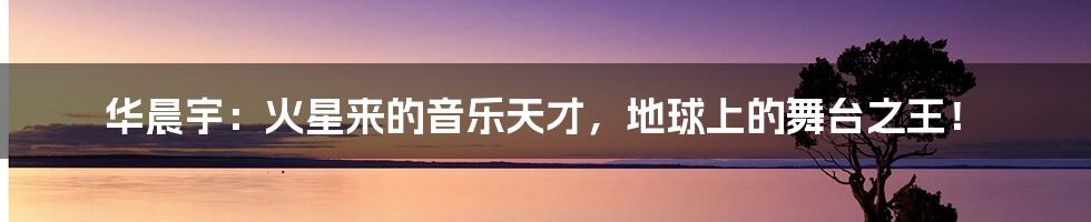 华晨宇:火星来的音乐天才,地球上的舞台之王!