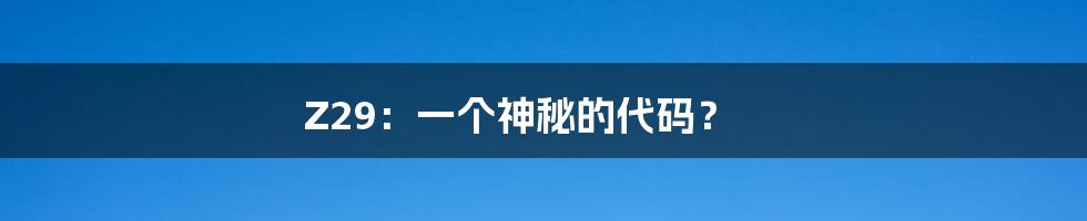 Z29:一个神秘的代码?