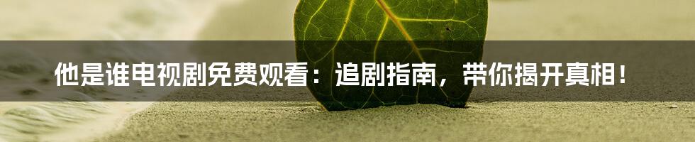 他是谁电视剧免费观看:追剧指南,带你揭开真相!