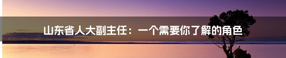 山东省人大副主任:一个需要你了解的角色