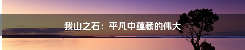 我山之石:平凡中蕴藏的伟大