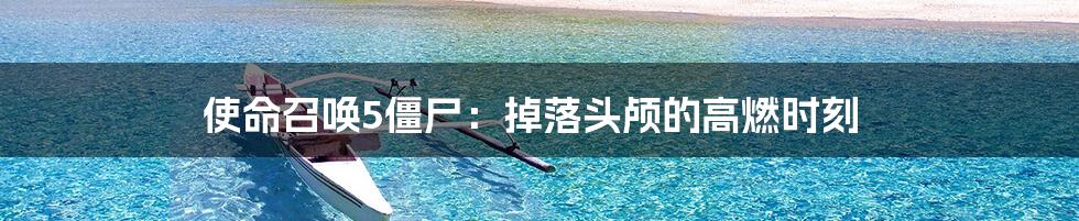 使命召唤5僵尸:掉落头颅的高燃时刻