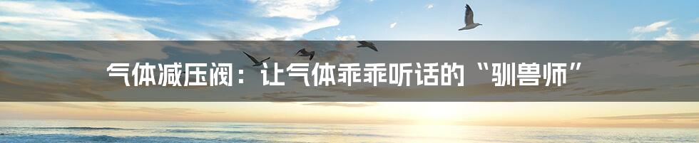 气体减压阀:让气体乖乖听话的“驯兽师”