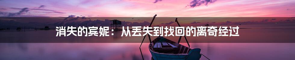 消失的宾妮:从丢失到找回的离奇经过