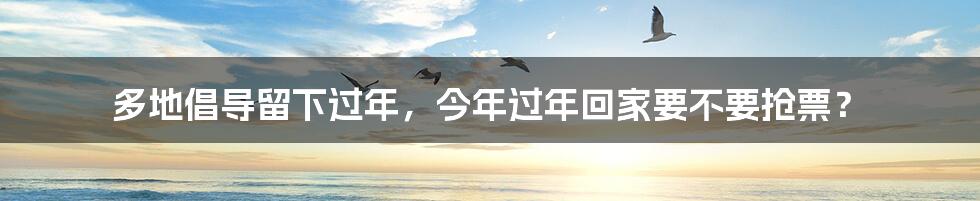 多地倡导留下过年,今年过年回家要不要抢票?