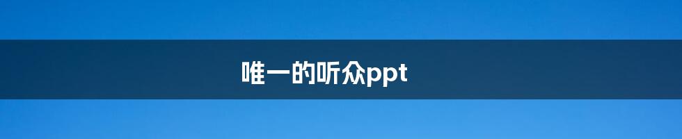 唯一的听众ppt