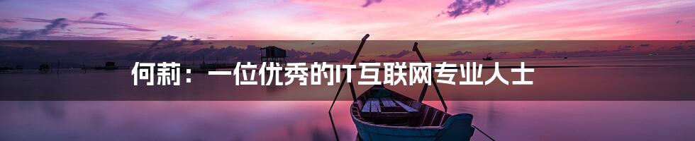 何莉:一位优秀的IT互联网专业人士