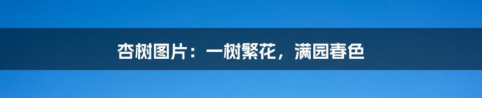 杏树图片:一树繁花,满园春色