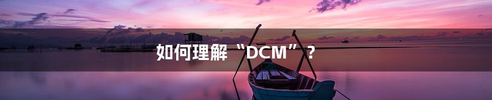 如何理解“DCM”?