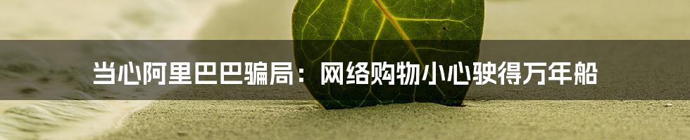 当心阿里巴巴骗局:网络购物小心驶得万年船