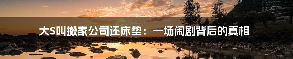 大S叫搬家公司还床垫:一场闹剧背后的真相
