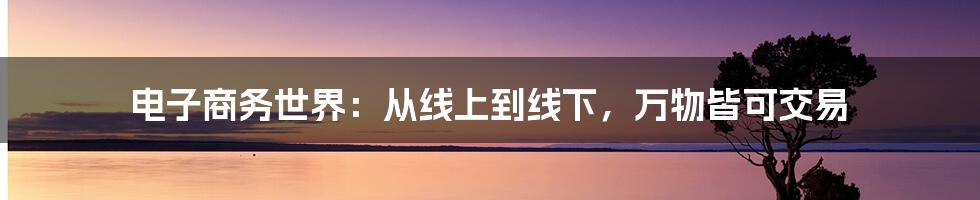 电子商务世界:从线上到线下,万物皆可交易