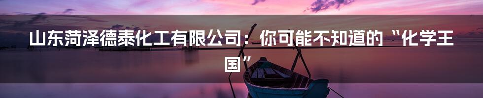 山东菏泽德泰化工有限公司:你可能不知道的“化学王国”